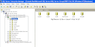 SQL Server 2000 installation guide
