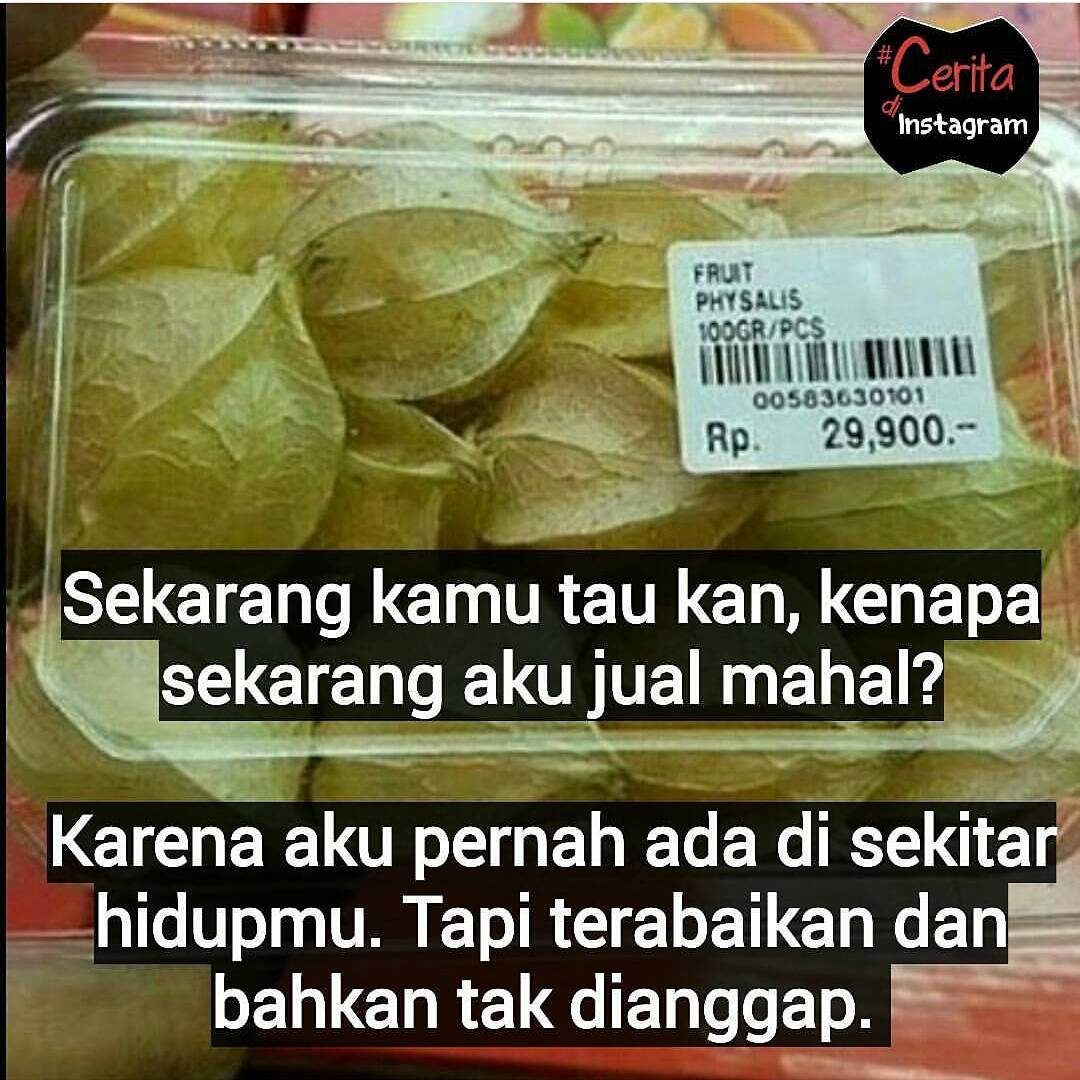 KUMPULAN FOTO FOTO VIRAL TERBARU KUMPULAN MEME LUCU TERBARU