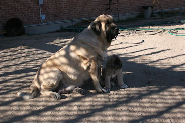 Atreo y Gitana