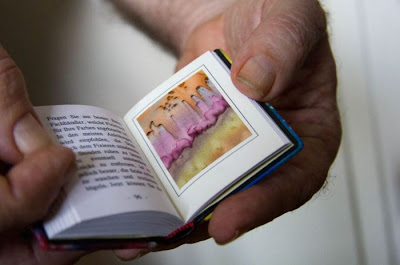 Miniature Books as a Hobby Seen On www.coolpicturegallery.us