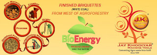 briquette plant india