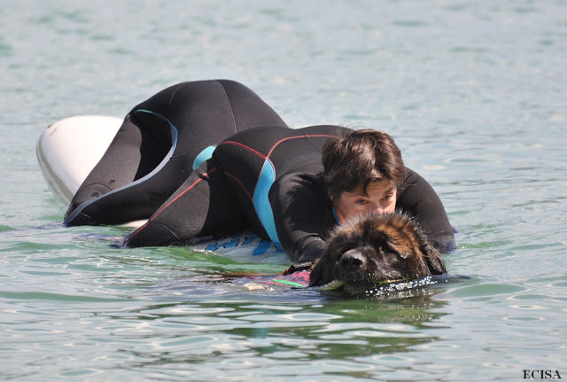 Maitre-chien sauvatage aquatique photographe JD AMET au lac de Vouglans 