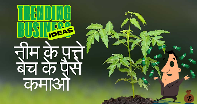 Trending Business Idea: Neem Powder