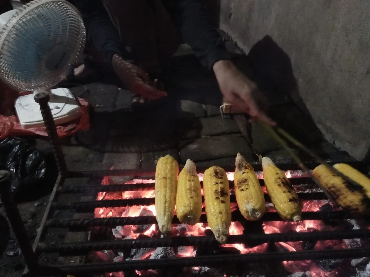 Bakar Jagung