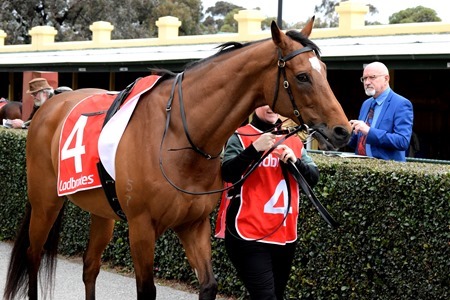 race 7 _jacquinot bay 1