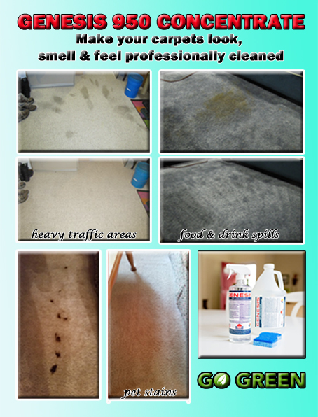 Remove Pet Stains from carpet