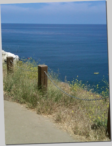 IMG00250-20100602-1106