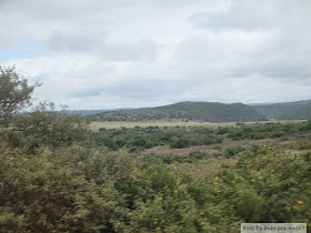 Chegando na Shamwari Game Reserve