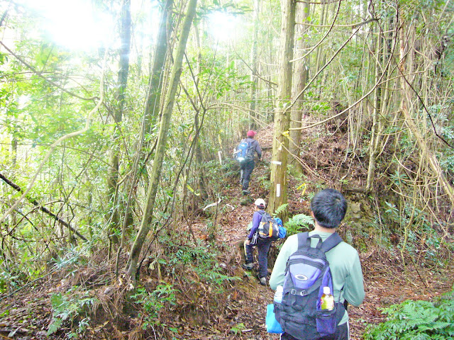 往盡尾山