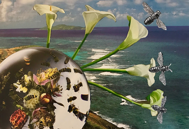 "Getting Out Into Nature" collage with ocean, flowers, and bees