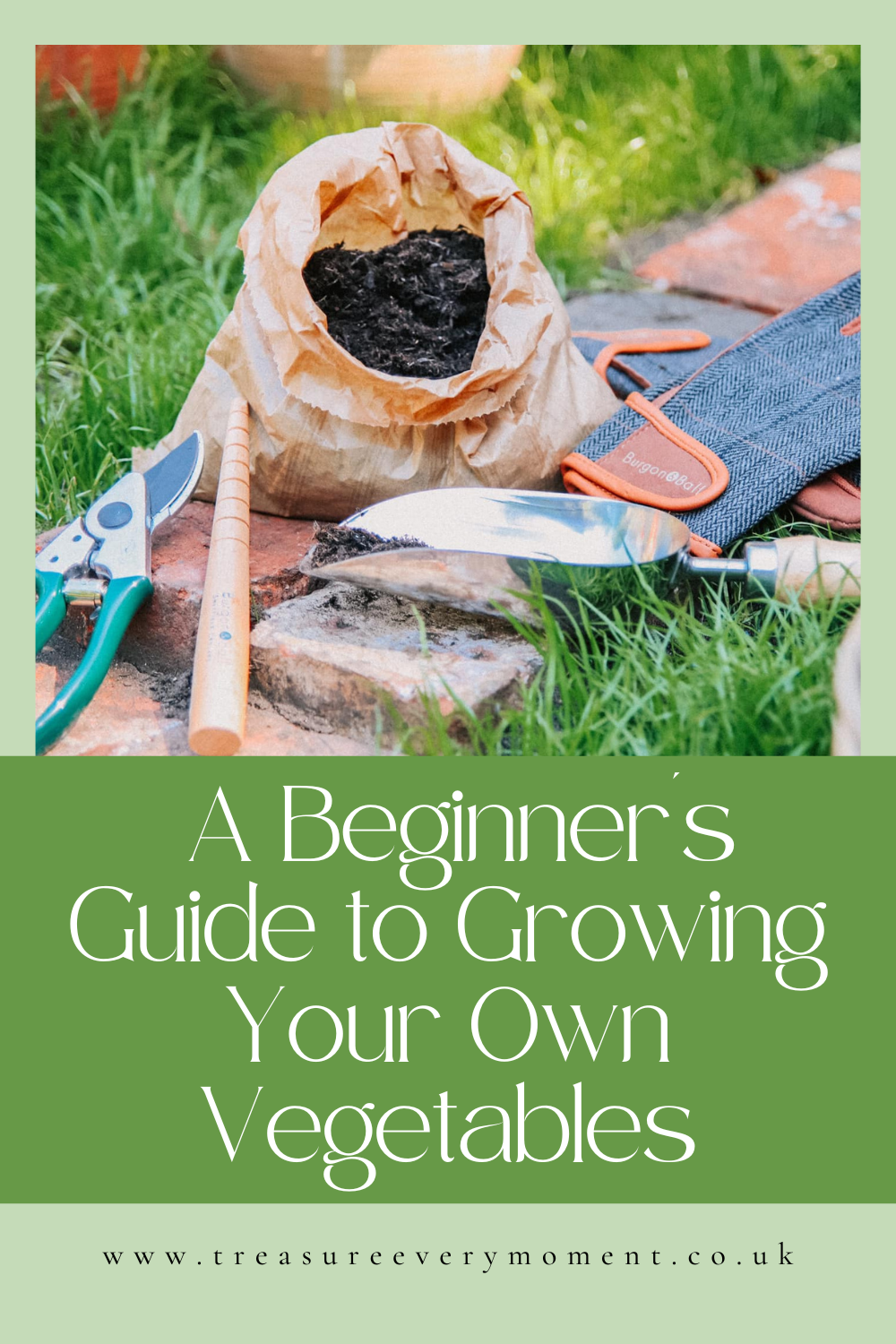 GARDEN: A Beginner's Guide to Growing Your Own Vegetables