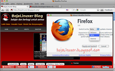 Firefox 5 Beta