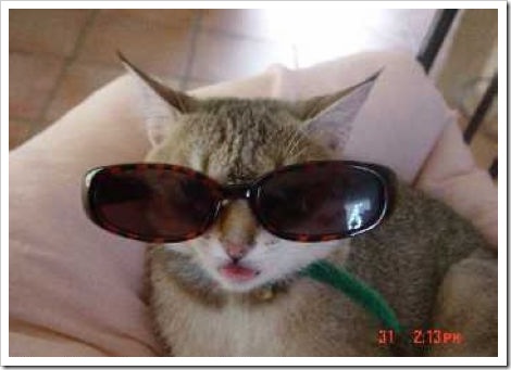 photos_chat_4