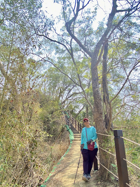 豐原萬里長城