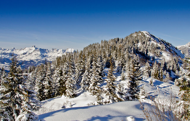 Prarion Les Houches Mont Blanc