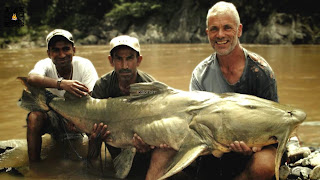 GOONCH CATFISH IKAN LELE RAKSASA PEMAKAN MANUSIA