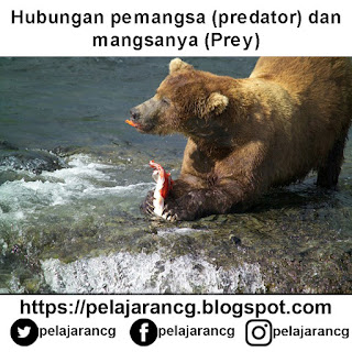 https://pelajarancg.blogspot.com/