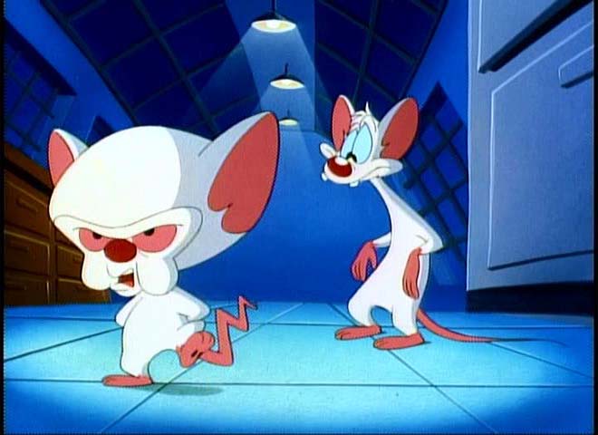 pinky and the brain. Pinky and the Brain Quotes