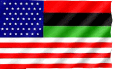 african american inclusion flag