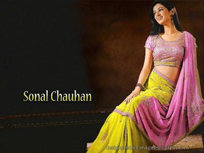 Actress Sonal Chauhan in Embroidery work Designer Saree