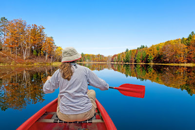 Where to View the Fall Colors in Michigan