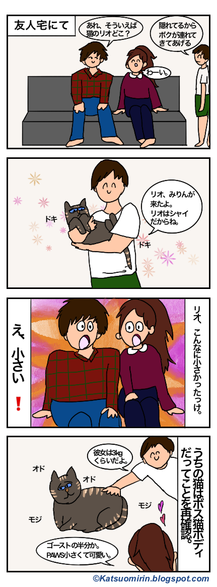 友人宅の猫