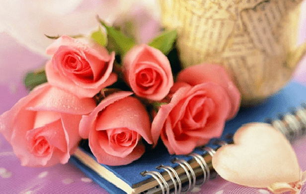 happy rose day saayari
