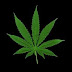 Ganja