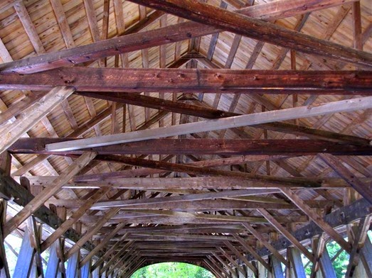 IMG_4644 (Medium)