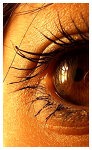 Na_ponta_da_verdade_by_Sofy