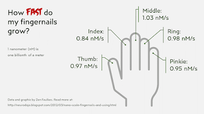 Graphic of hand showing growth in nanometers per second as a callout on each finger.