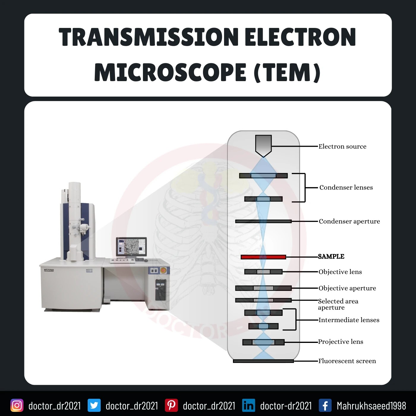 Transmission Electron Microscope (TEM)