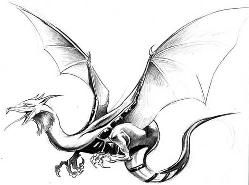 dragon tattoos sketches. tattoo flash dragon