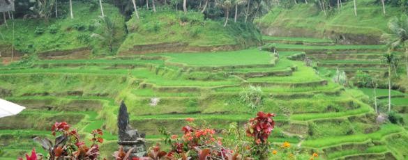 Best Bali Tour Prices - Bali, Holidays, Tours, Sightseeing, Trips, Prices, Costs, Rates, Charges, Fees