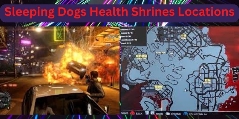 Sleeping Dogs Health Shrines Locations