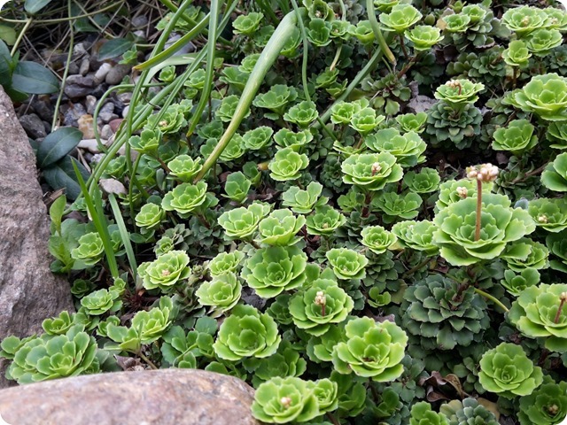 20170506_170328