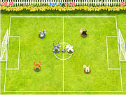 soccer sports game