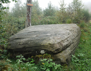 Mauzenstein oberhalb von Herrenalb-Bernbach