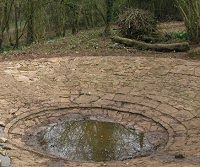 Emptying an old pond