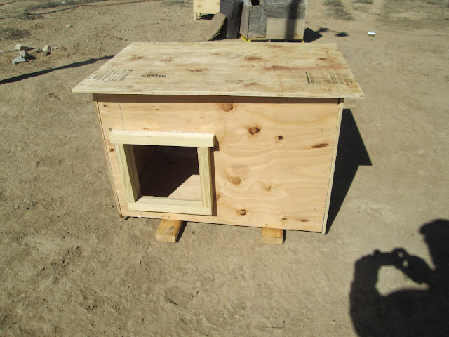 Ancient Pathways Survival School LLC DIY  Dog  House  Plans 