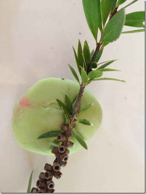 eucalyptus-scented playdough eucalyptus-scented playdough