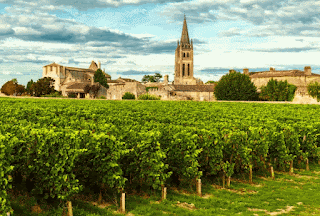 Bordeaux vineyard.