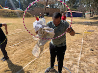 Survivor Team Building