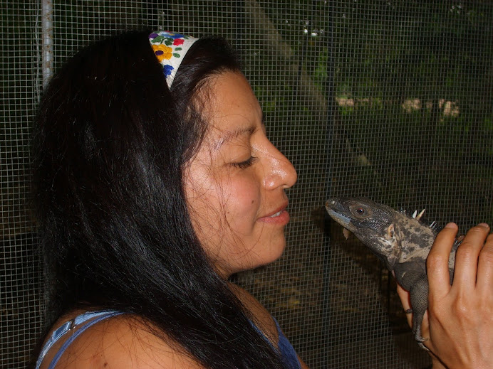 iguana negra