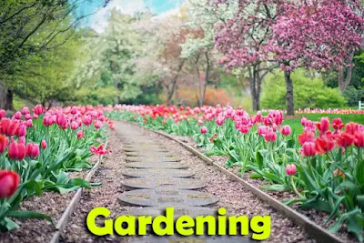 Gardening