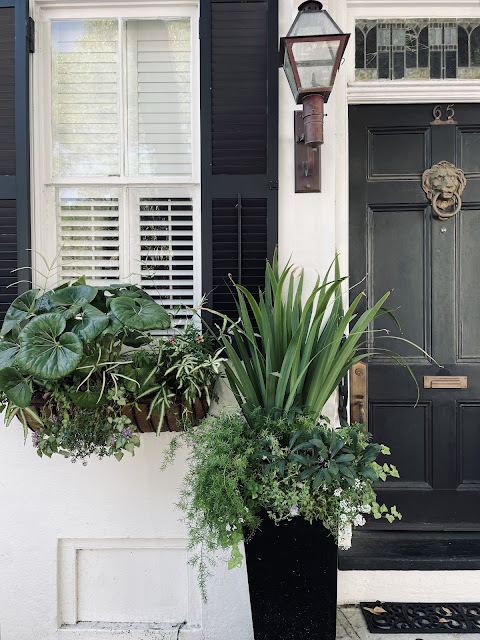 A Charleston Garden View