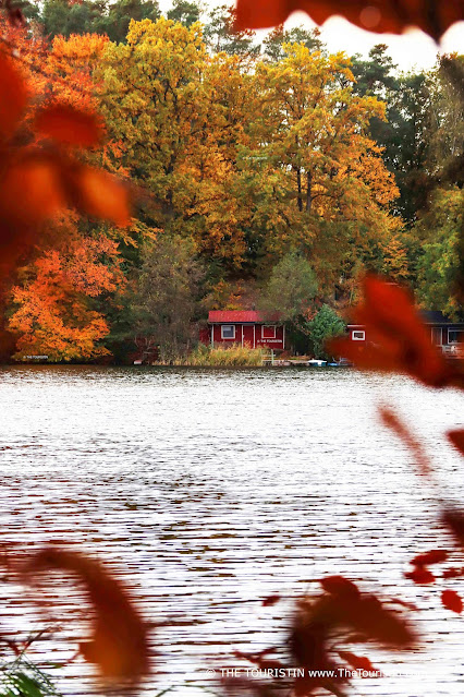 A small wooden red cottage on a lake surrounded by thick forest in brightly coloured autumn foliage.