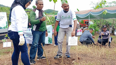 Peduli Masalah Penggundulan Hutan, PELNI Ajak Tanam Ribuan Pohon Kemiri di Kota Bima