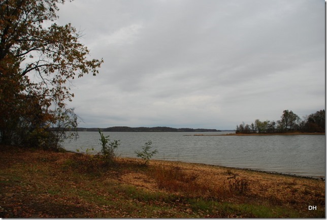 11-06-15 A Land Between the Lakes area N of Hillman (47)