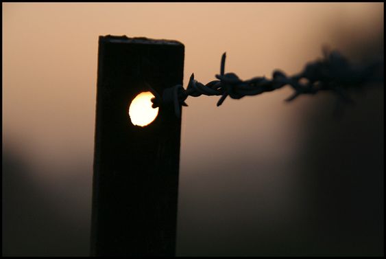 An image showing a close up of a fence post with a piece of barbed wire going through it, lit from behind by a sunset and almost in silhouette. Taken by Florence Caplain